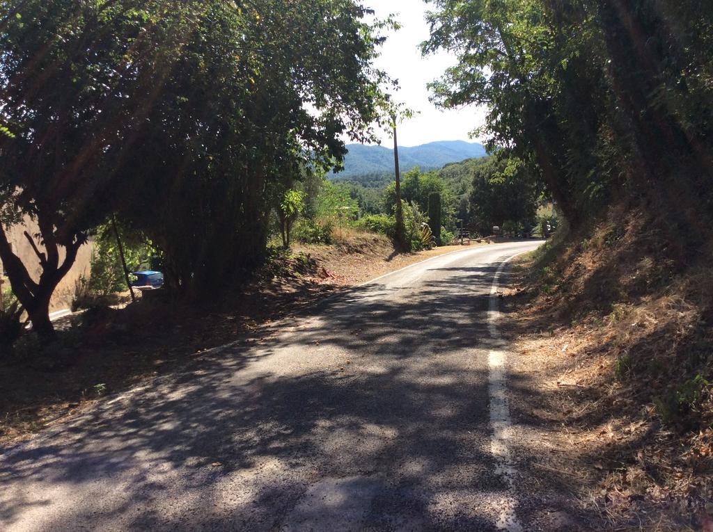 Can Masferrer Riudarenes エクステリア 写真
